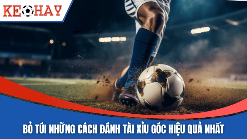 Bỏ túi những cách đánh tài xỉu góc hiệu quả nhất