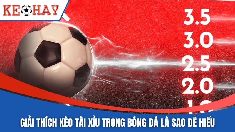 Giải thích kèo tài xỉu trong bóng đá là sao dễ hiểu